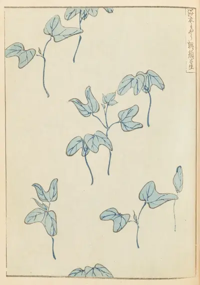 Shin-Bijutsukai Pl.437 av Furuya Kōrin