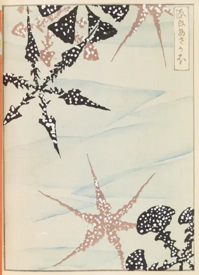 Shin-Bijutsukai Pl.472 av Furuya Kōrin