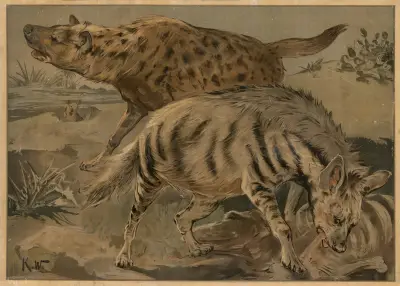 Hyena, Karl Wagner
