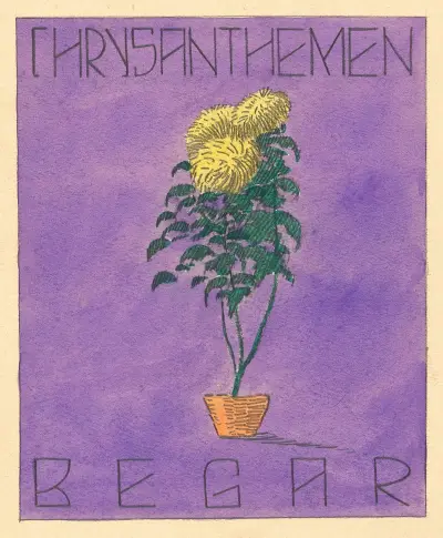 Chrysanthemen Begar av Karl Wiener