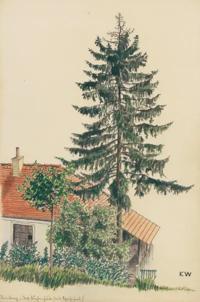 Steinberg av Karl Wiener