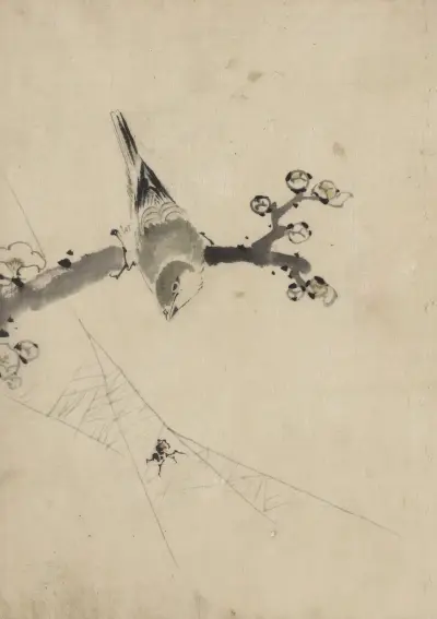 A bird perched on a tree branch with blossoms, watching a spider on a web av Katsushika Hokusai