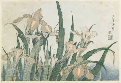 Irises and Grasshopper av Katsushika Hokusai