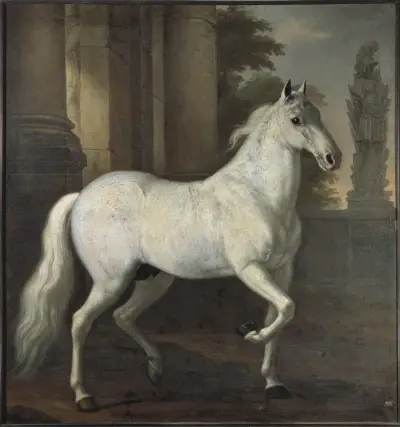 Karl XI’s horse Brilliant av David Klöcker Ehrenstrahl