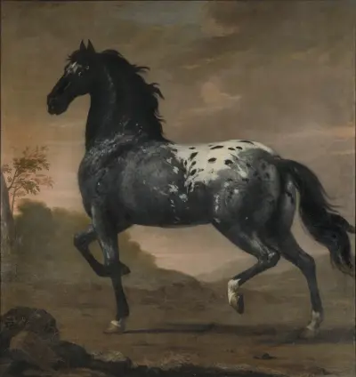 Karl XI:s livhäst Blå Tigern av David Klöcker Ehrenstrahl