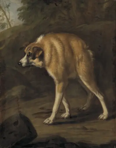 Missbildad hund av David Klöcker Ehrenstrahl