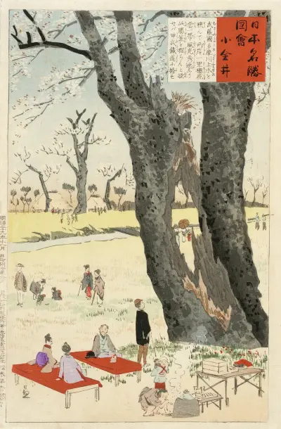 Koganei, Cherry Blossoms av Kobayashi Kiyochika