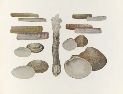 Nihon suisan doshokubutsu zushu Pl.53 av Kumataro Ito