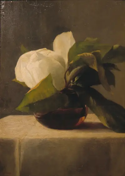 Magnolia av John La Farge