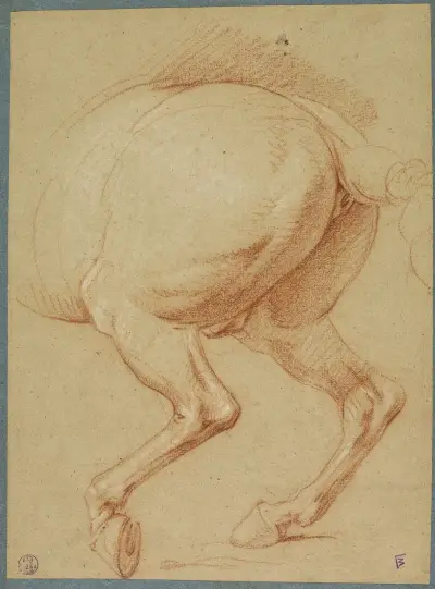 The Hind Legs of a Horse av Charles Le Brun