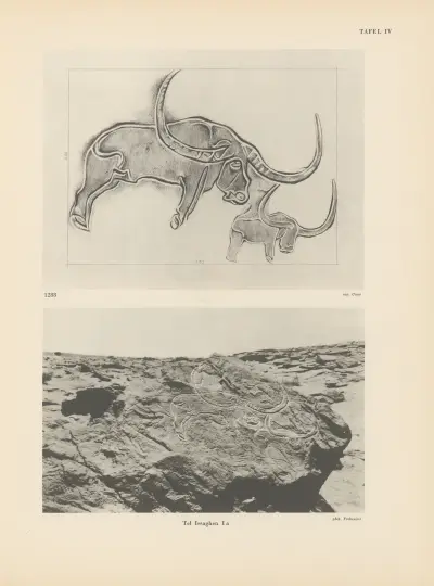 Ekade Ektab die Felsbilder Fezzans Pl.12 av Leo Frobenius