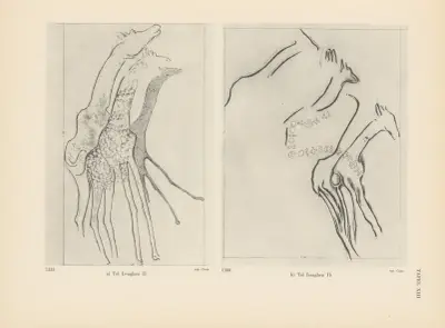 Ekade Ektab die Felsbilder Fezzans Pl.17 av Leo Frobenius