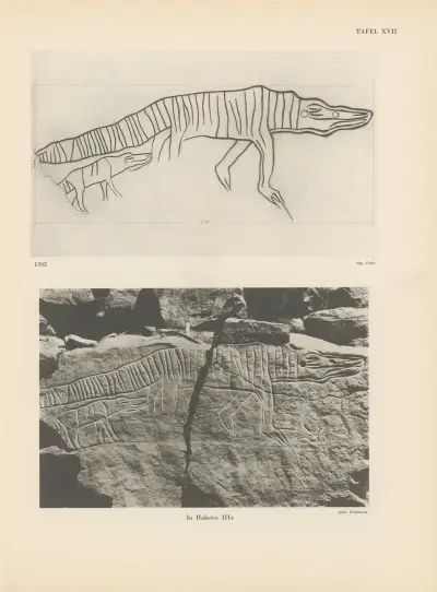Ekade Ektab die Felsbilder Fezzans Pl.20 av Leo Frobenius