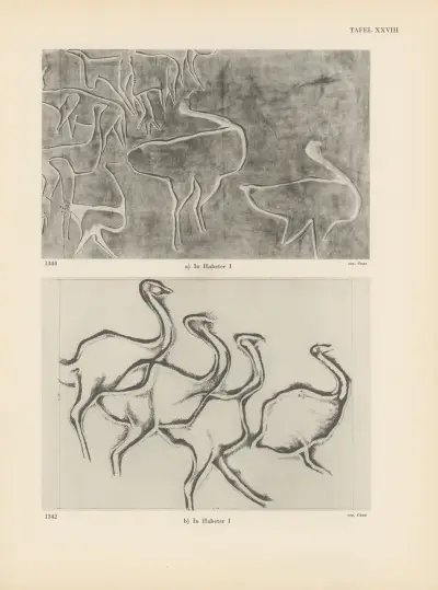 Ekade Ektab die Felsbilder Fezzans Pl.30 av Leo Frobenius
