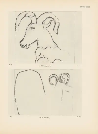 Ekade Ektab die Felsbilder Fezzans Pl.31 av Leo Frobenius