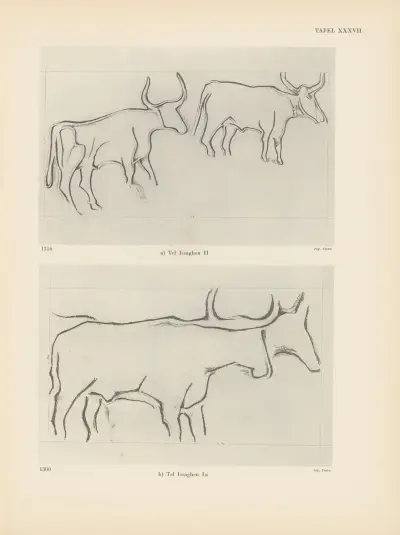 Ekade Ektab die Felsbilder Fezzans Pl.36 av Leo Frobenius