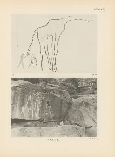 Ekade Ektab die Felsbilder Fezzans Pl.61 av Leo Frobenius