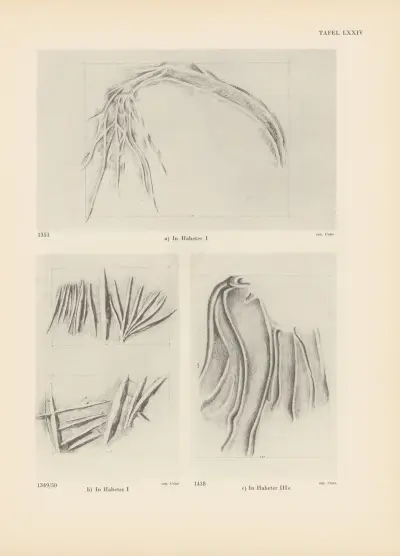 Ekade Ektab die Felsbilder Fezzans Pl.68 av Leo Frobenius