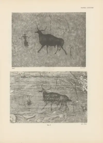 Ekade Ektab die Felsbilder Fezzans Pl.71 av Leo Frobenius