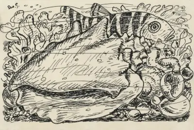 En snäcka i vattnet av Leo Gestel