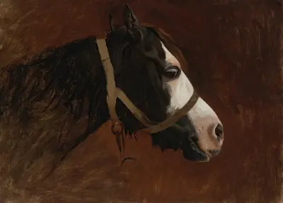 Profile Of A Horse von Jean-Léon Gérôme