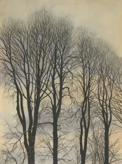 Träd och himmel av Léon Spilliaert