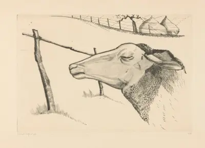Das schlafende Schaf von Lodewijk Schelfhout