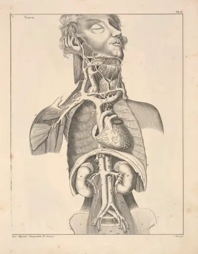Abbildungen zu Oken’s Allgemeiner Naturgeschichte für alle Stände Pl.055 av Lorenz Oken