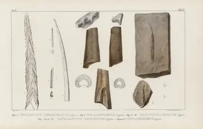 Recherches sur les poissons fossiles Pl.274 av Louis Agassiz