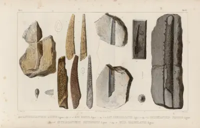 Recherches sur les poissons fossiles Pl.282 av Louis Agassiz