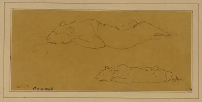 Deux études de panthère allongée av Antoine-Louis Barye