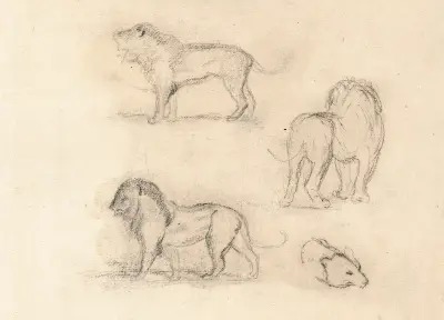 Etude de trois lions et une tête d’ours av Antoine-Louis Barye