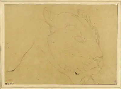Tête de tigre av Antoine-Louis Barye