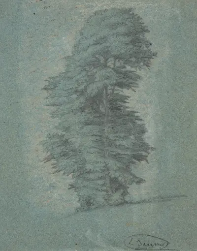 Study of a tree av Louis Janmot