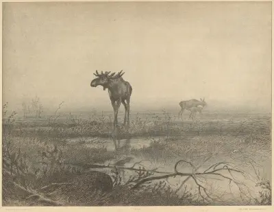 Urtid (Pre Stoneage Denmark) av Louis Moe