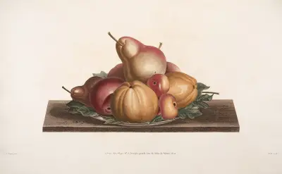 Tallrik med Bon – Chrétien, Calville blanc, Pomme-rose, Api och Coing av Jean Louis Prévost