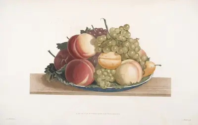 Assiette de Chasselas musqué, Muscat noir, Prune-Aubert, et Pêche admirable av Jean Louis Prévost