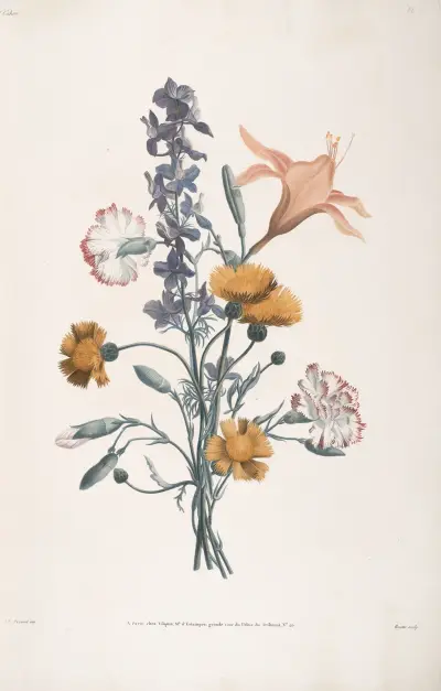 Bouquet d’Œillet, Ambrette, Daufinel, et Emérocalle av Jean Louis Prévost