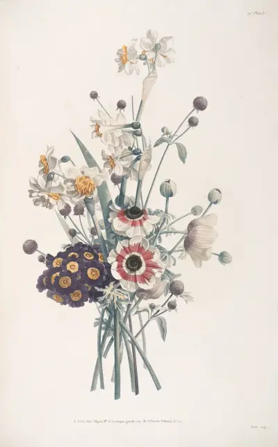 Bukett med anemoner, aurikler, narcisser och amarantiné av Jean Louis Prévost