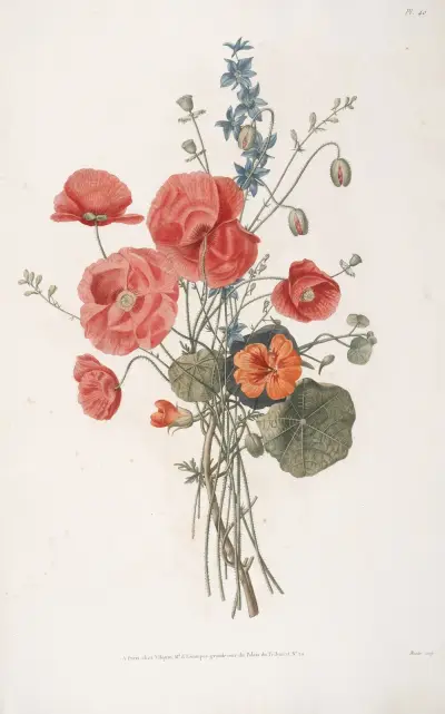 Bukett med vallmo, kapucinblomma och akleja av Jean Louis Prévost
