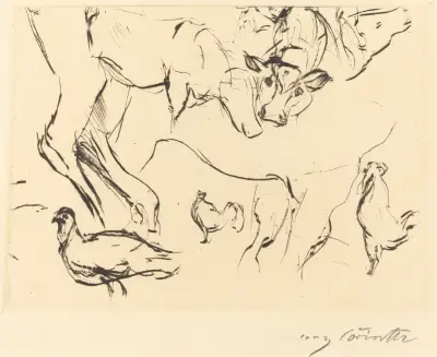 Studia zwierząt (Verschiedene Tierstudien), 1917 – nr 1, Lovis Corinth