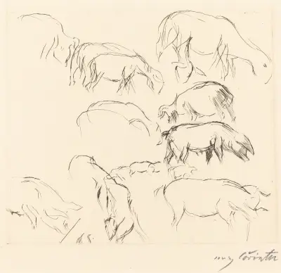 Animal Studies (Verschiedene Tierstudien) von Lovis Corinth