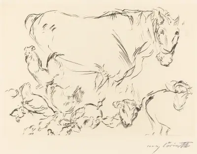 Animal Studies (Verschiedene Tierstudien) von Lovis Corinth