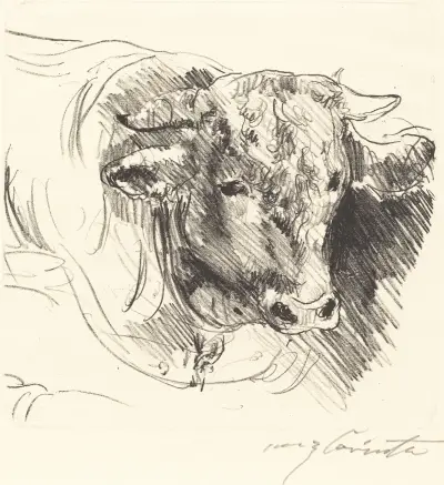Tjurhuvud av Lovis Corinth