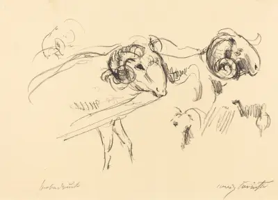 Rams (Schafböcke) von Lovis Corinth