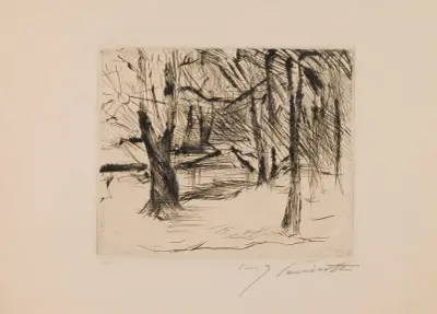 Trees in the Sun von Lovis Corinth