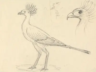 Sekretář africký, Luigi Balugani