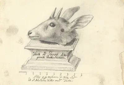 Testa di Fecco, Luigi Balugani