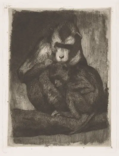 Małpy iskające futro, Hendrik Maarten Krabbé