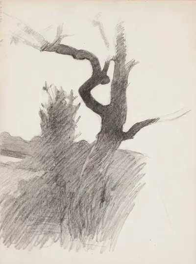Puunrunko von Magnus Enckell